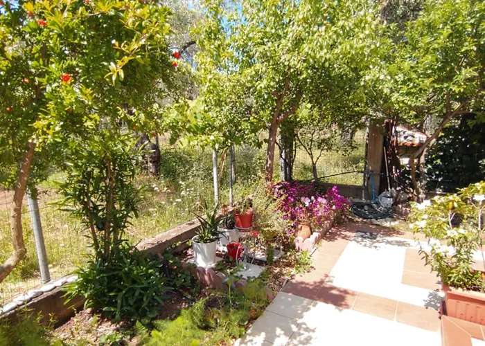 公寓式酒店 Ioli 4*